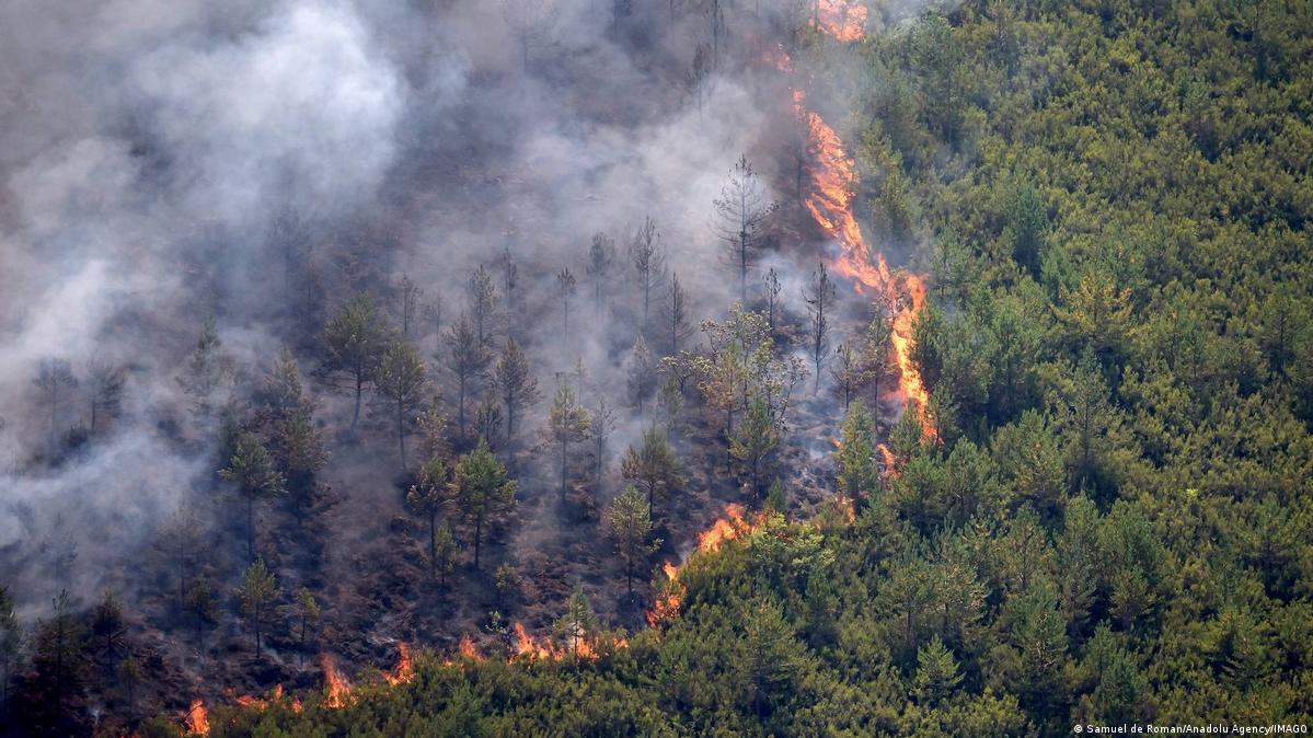 Symbolic image: Flames and smoke rise from a wildfire that broke out in Espina de Tremor, in Leon, Spain