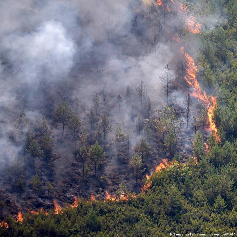 Spain battles deadly wildfire amid heat wave