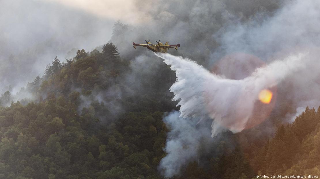 Um avião jorra água em cima de uma floresta em chamas.