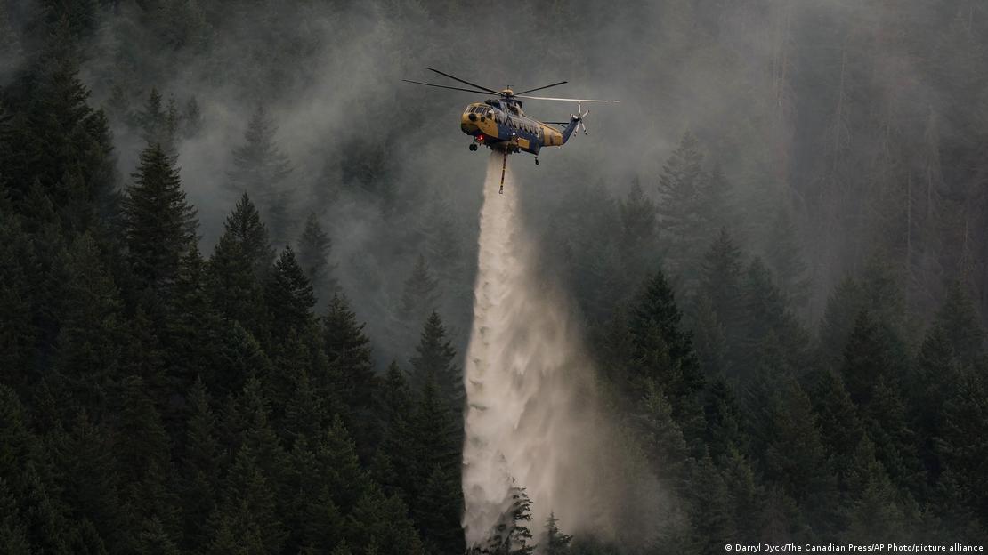 Kanada'da yanan ormana su bırakırken görülen bir helikopter