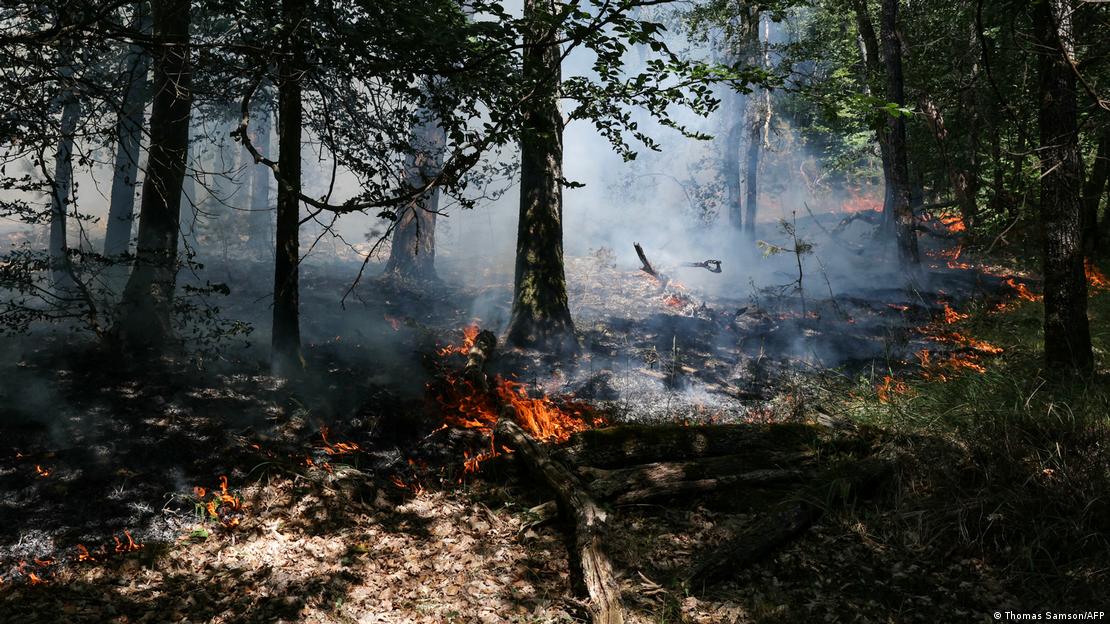 Francia Achères-la-Forêt 2026 | Incendio forestal en el bosque de Fontainebleau