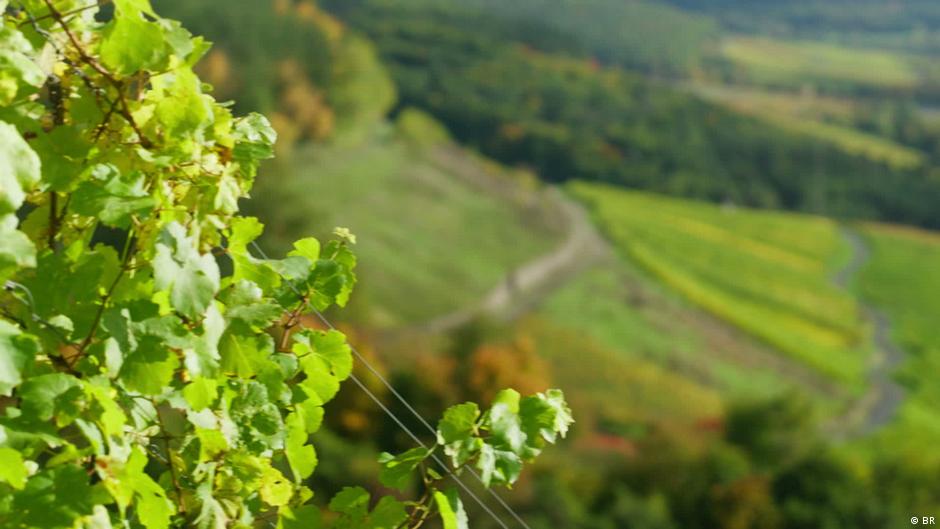 Will Non-alcoholic Wine Save the Winemakers?