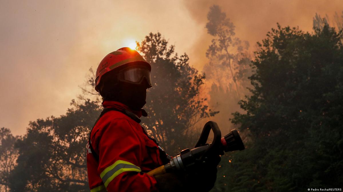 Research indicates that wildfire smoke is uniquely toxic for human health Image: Pedro Rocha/REUTERS