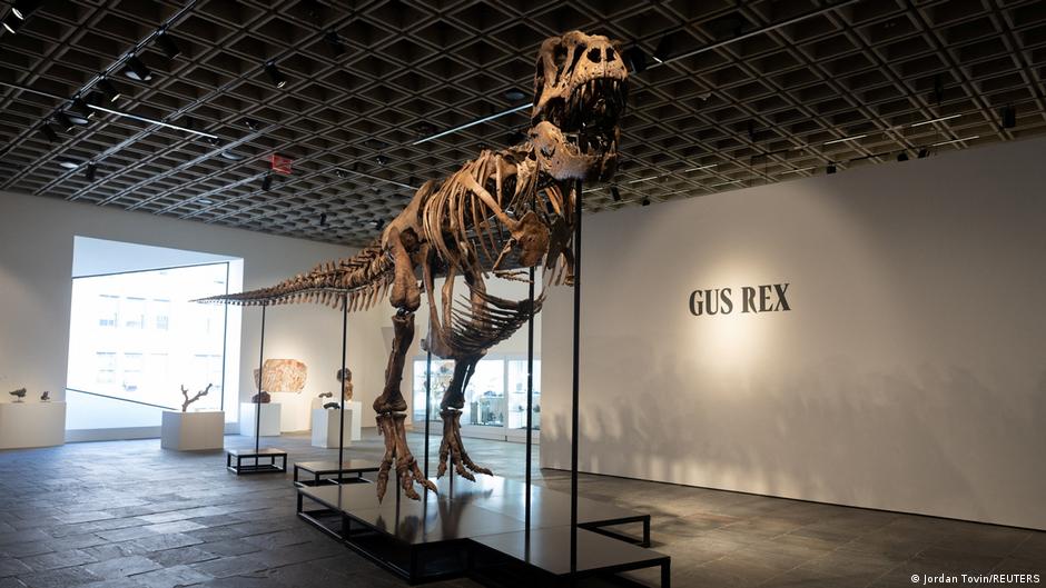 T. rex skeleton 'Gus' sells for record-breaking $50.1 million at auction