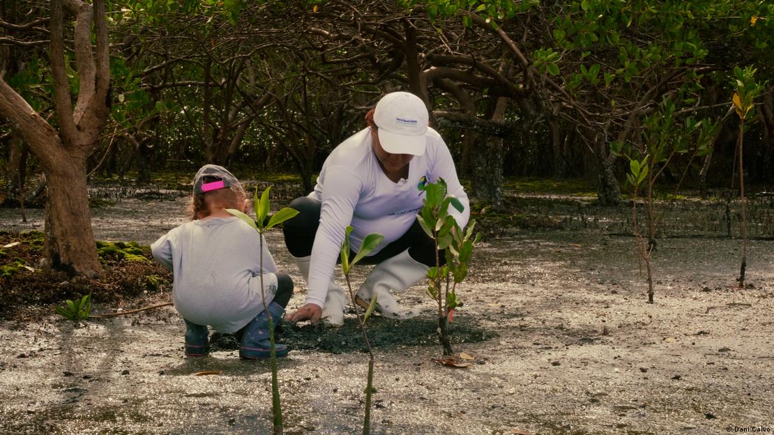 Una imagen de una mujer y su hija plantando en el documental "Mujeres del manglar". Una imagen de una mujer y su hija plantando en el documental "Mujeres del manglar".
