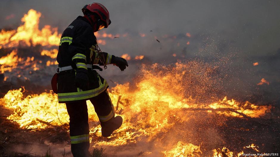 Europa Bajo Asedio: Incendios Forestales Devastan Francia y España, Sembrando Alerta Global y Lecciones para la Diáspora
