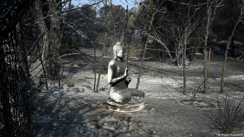 Europa en la Hoguera: Un Frágil Respiro Ante la Inminente Amenaza de Otra Ola de Calor
