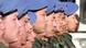 Pasukan Baret Biru Cina Pasukan Baret Biru Cina