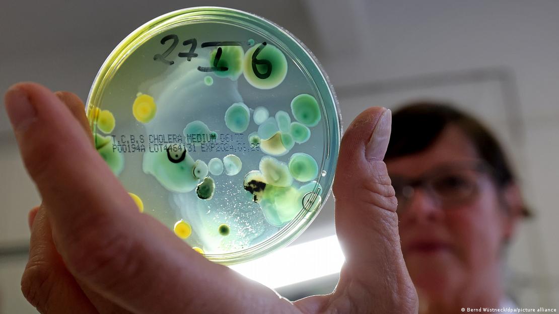 Prueba de bacteria en un laboratorio.
