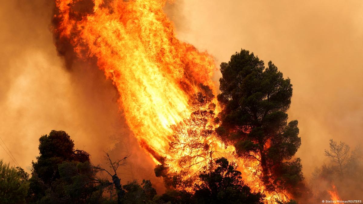 A raging fire passes through trees in Agia Paraskevi, Greece