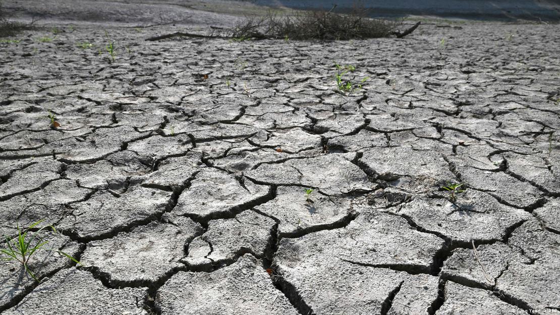 Lecho seco de un embalse en Miryang, a unos 280 kilómetros al sur de Seúl, mientras una ola de calor azota Corea del Sur.