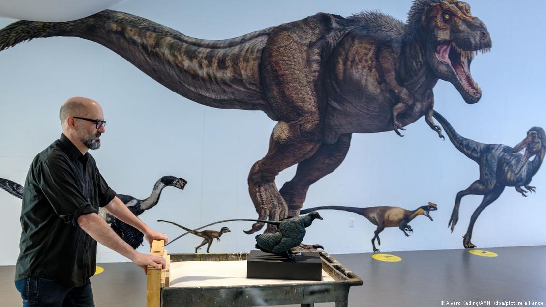 Imagen: Alvaro Keding/AMNH/dpa/picture alliance