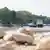 Boats line up on the Rhine, with large parts of the river bed visible