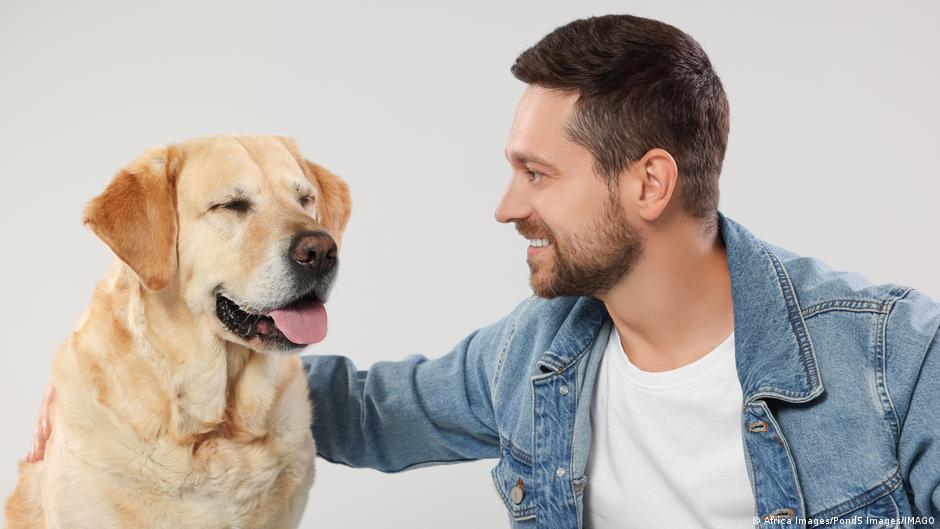 ¿Tu perro sabe lo que sientes? Esto revela su cerebro