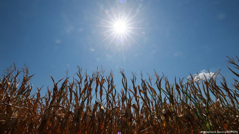 Europe braces for next heat wave