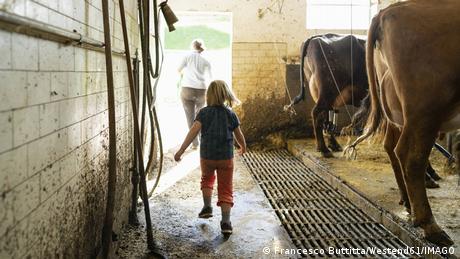 Bauernhofeffekt: Wie Stallbakterien Allergien bremsen