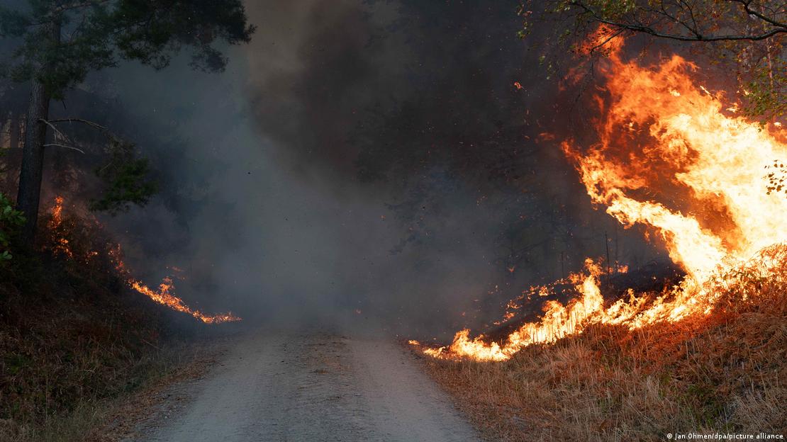 Estrada em meio a chamas de um incêndio florestal