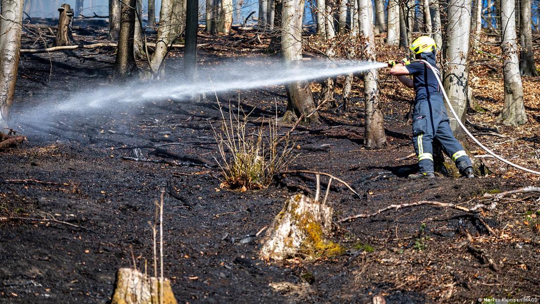 Bombeiro com uma mangueira de água apaga incêndio em floresta