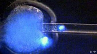 Entnahme von DNA aus einer Eizelle, Klonverbot