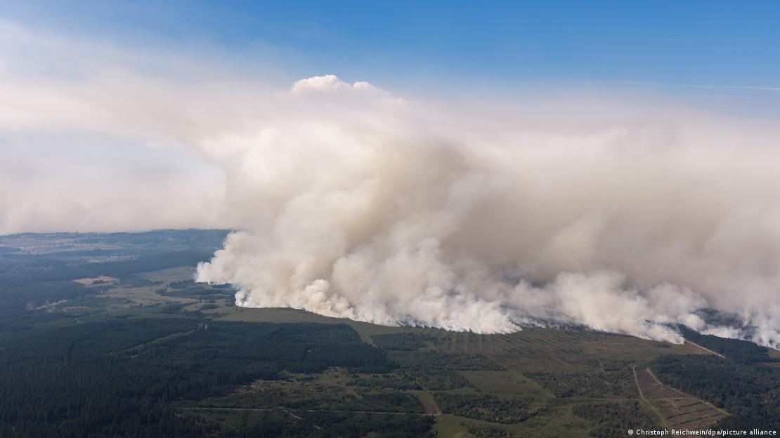 Una alta columna de humo grisáceo se eleva cientos de metros hacia el cielo sobre las Hautes Fagnes durante un incendio forestal en Bélgica.