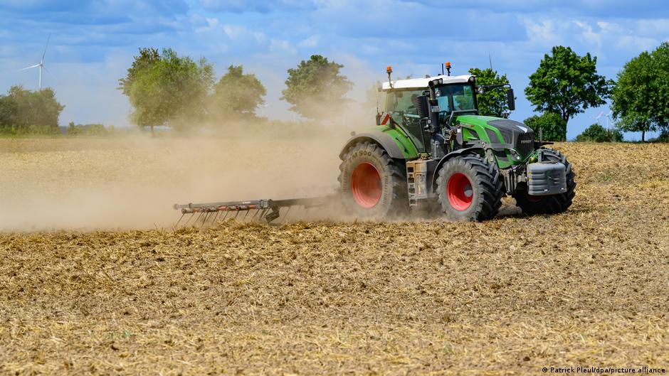 Amid extreme heat, water grows scarce around Berlin