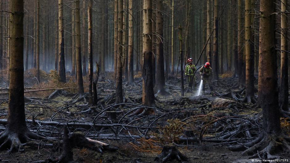 Belgium wildfire: Rains help High Fens containment efforts