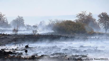 News kompakt: Entwarnung bei großem Waldbrand in Belgien