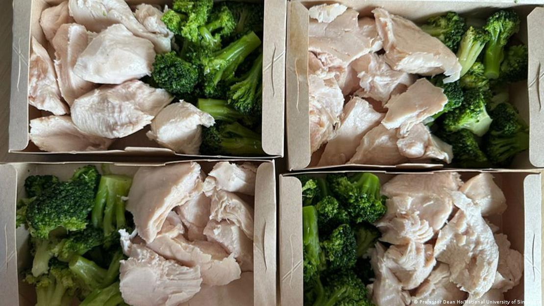 Brócoli, verduras de hoja verde y proteínas magras marcaron el patrón de alimentación mediterránea del experimento.