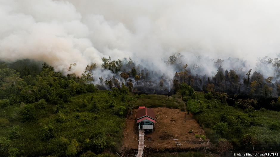 Kisah Relawan atasi Karhutla Kalteng dan Erupsi Krakatau di Sebesi, Sejauh Mana Peran Negara?