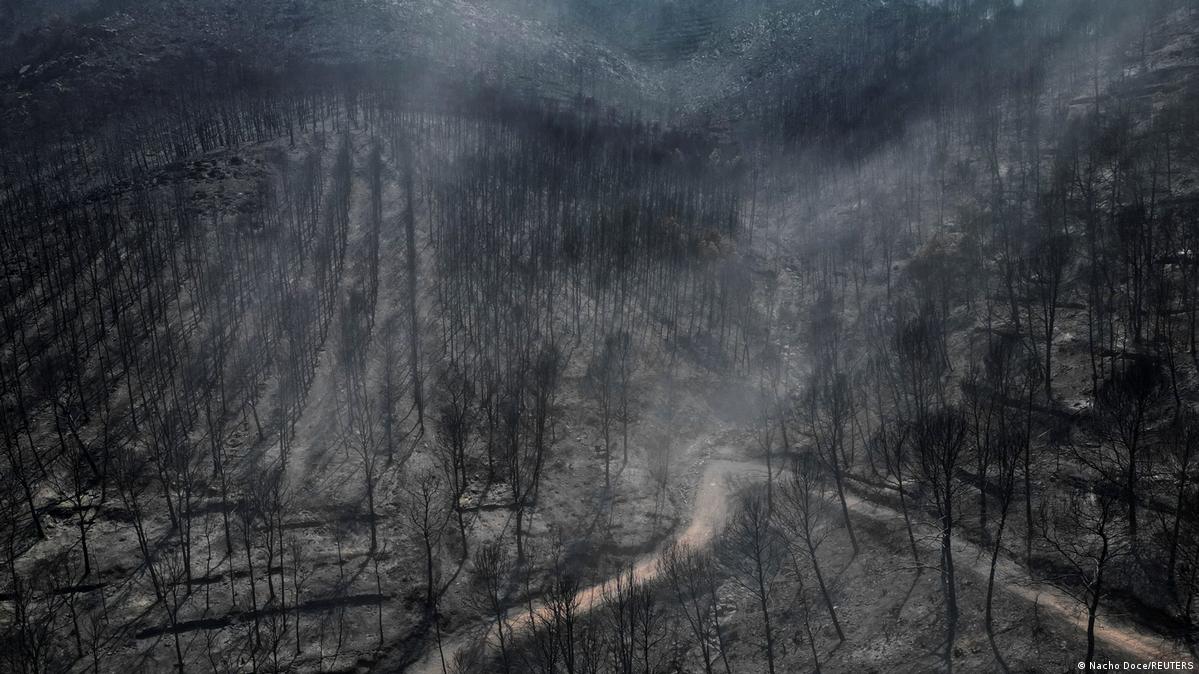 An archive photo of a smoldering wildfire near the city of Castellon de la Plana, Spain, on July 28, 2026