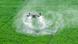 Image 4: A drone sprays white clouds of pesticides over a bright green rice field