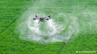 Image 5: A drone sprays white clouds of pesticides over a bright green rice field