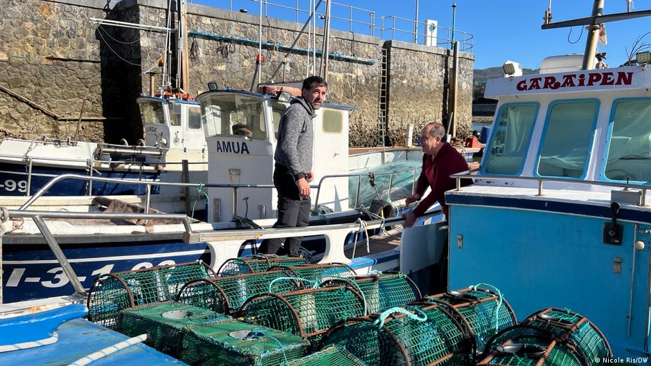 The billion-euro trade driving Europe's eels to extinction