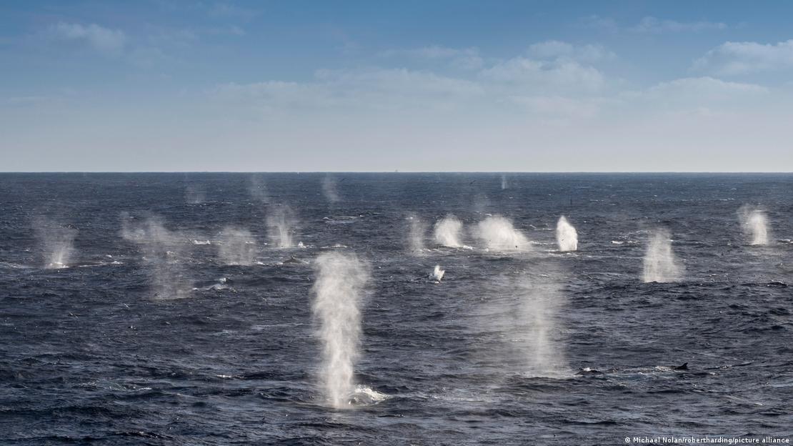 La interferencia entre la señal directa y la reflejada en la superficie del mar generó el efecto que puso en jaque los cálculos del investigador. La interferencia entre la señal directa y la reflejada en la superficie del mar generó el efecto que puso en jaque los cálculos del investigador.