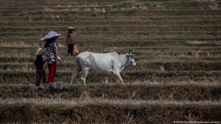 How climate change and food insecurity could fuel future conflicts