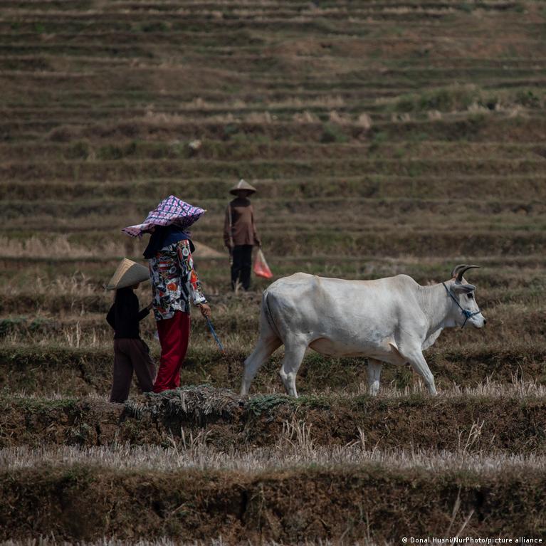 Thumbnail for How climate change and food insecurity could fuel future conflicts