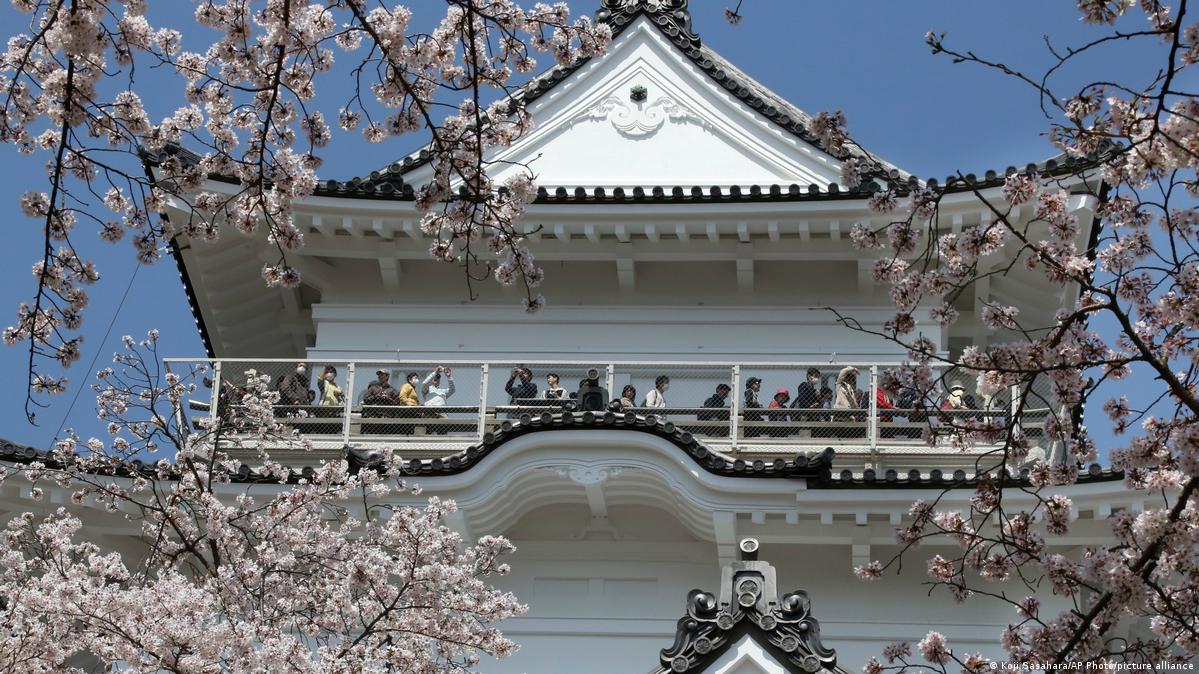 Japan Odawara 2018 | Kirschblüte an der Burg Odawara 小田原城堡建于十五世纪,又逢樱花盛开的季节