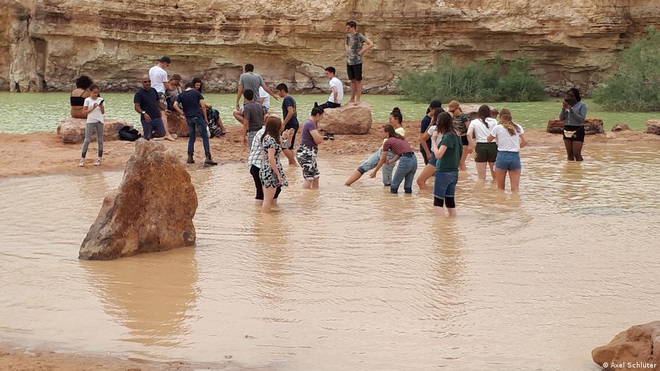 صورة الخبر