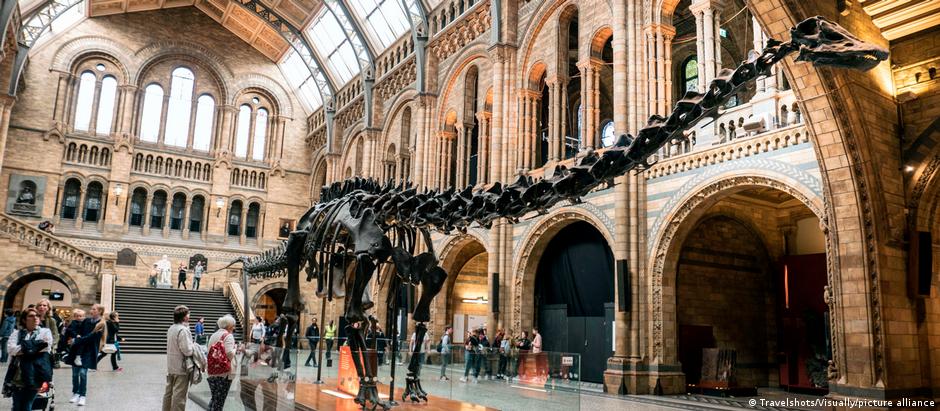 "Dippy", o Diplodocus do Museu de História Natural em Londres