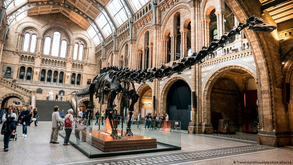 Spanish scientists find first evidence of Diplodocus dinosaur in Europe