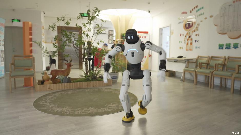 Can robots help solve China's elderly care crisis?
