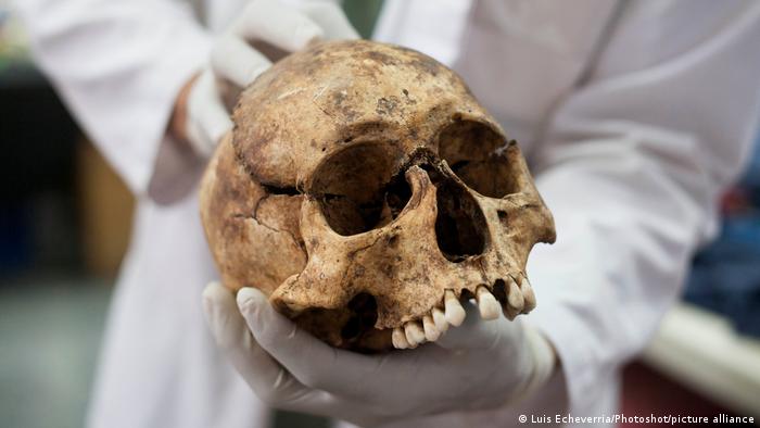 Crânios de 5.000 anos revelam possíveis sacrifícios humanos no Egito