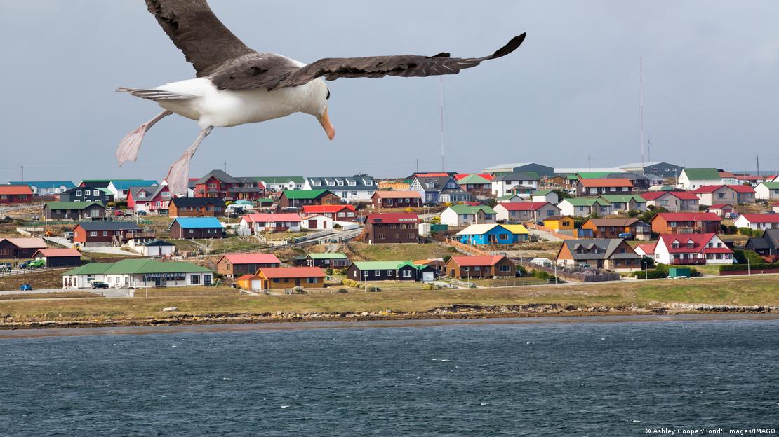 Gaivota sobrevoa o mar perto da costa, onde há casas coloridas