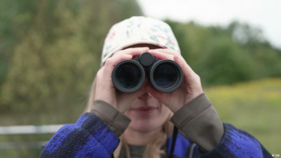 Birdwatching boomt: Social Media trifft Artenschutz - DW.com