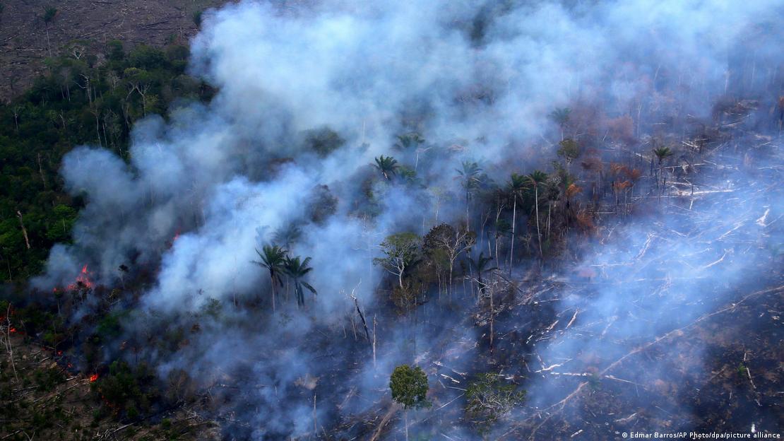 Brezilya'nın Amazonas eyaletindeki Autazes bölgesinde Amazon ormanının bir bölümünden yoğun duman yükseliyor; ağaçların arasında alevler görülüyor.