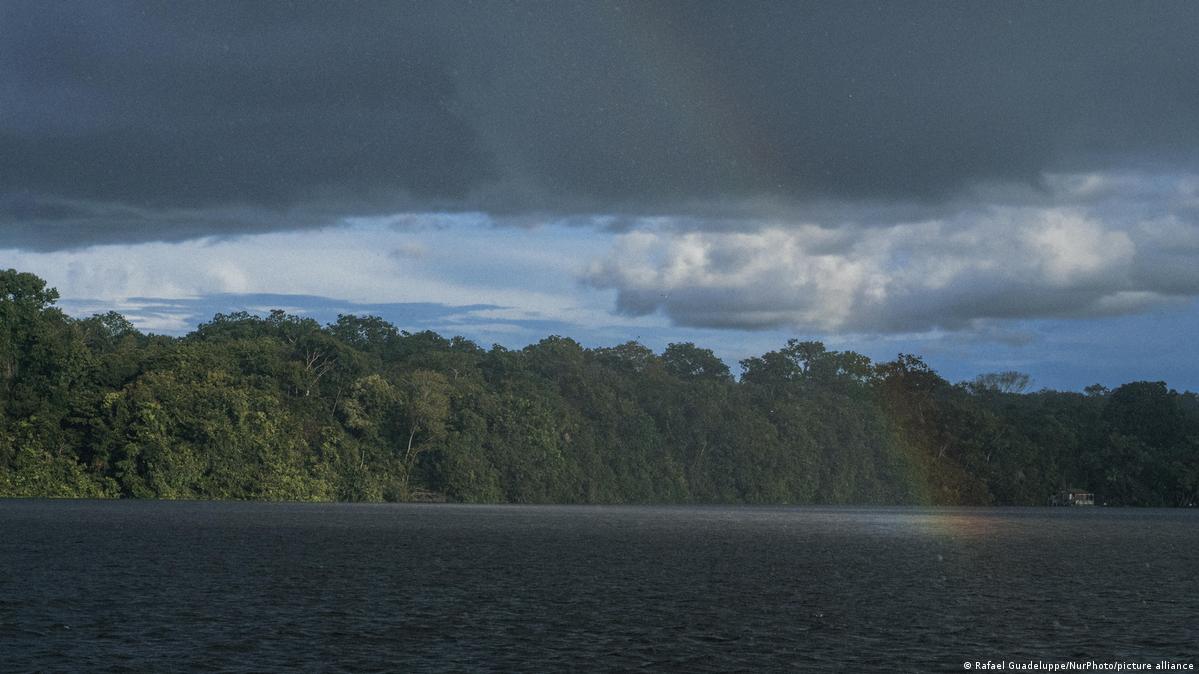 Braziliyanın prezidenti hədəfinin 2030-cu ilə qədər qanunsuz meşə qırğınının sıfır səviyyəsinə endirilməsi olduğunu bildirib. Şəkil: Rafael Guadeluppe/NurPhoto/picture alliance