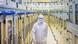 Clean room in a chip production facility, worker in protective clothing Clean room in a chip production facility, worker in protective clothing