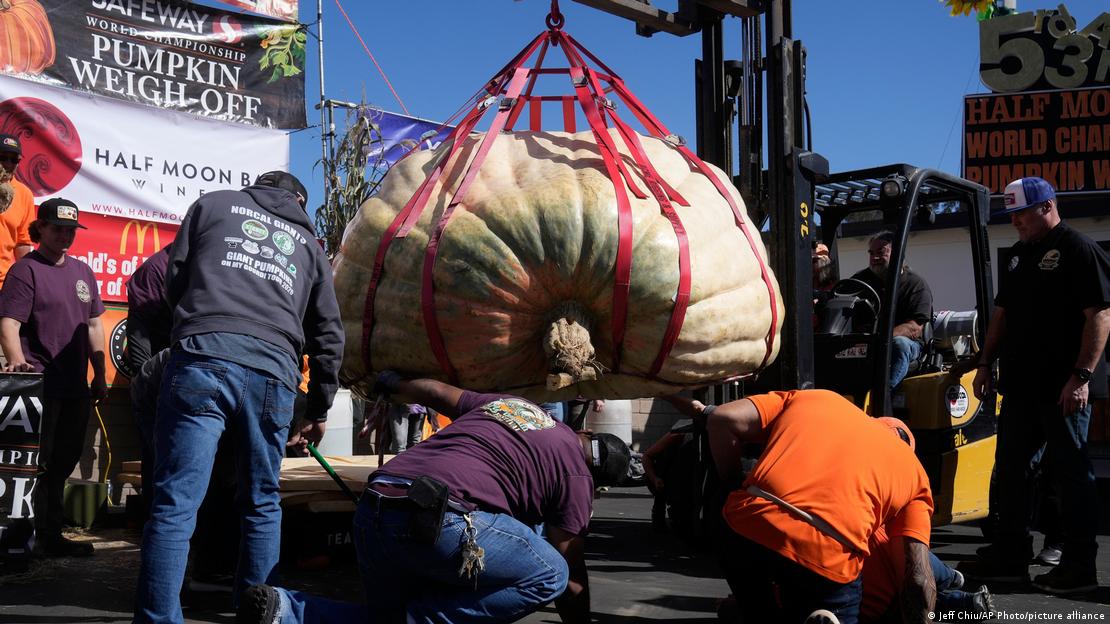 Varios visitantes observan la calabaza ganadora de Travis Gienger en Half Moon Bay.