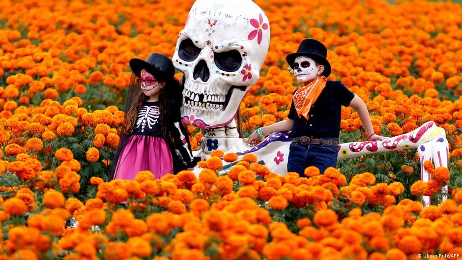 Die Blume, die den Toten in Mexiko den Weg weist - DW.com