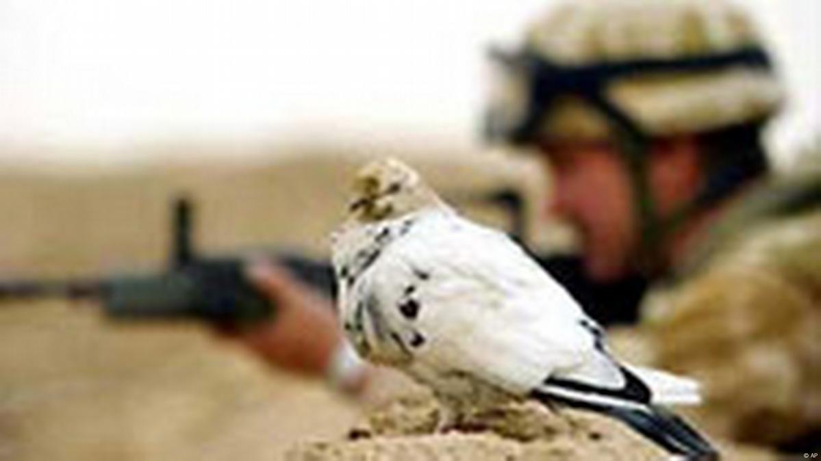 Paratroopers Land in Northern Iraq, as Bush Meets Blair – DW – 03/27/2003
